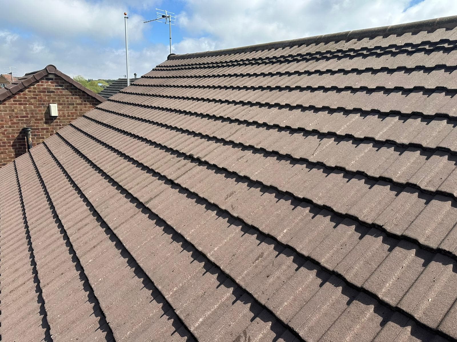Roof Cleaning and Coating